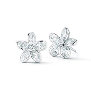 Platinum Diamond Earrings
