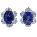 Platinum Sri Lankan Sapphire Diamond Earrings
