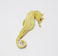 Sea Horse Pin