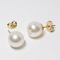 Pearl Stud Earrings